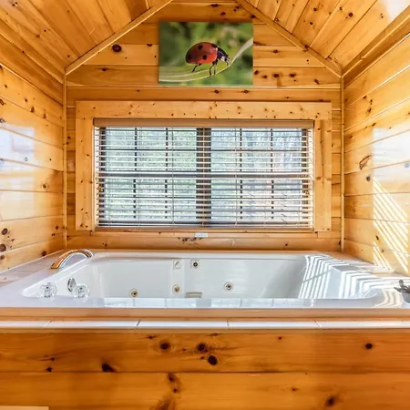 Comfort Cabin Bearway To Heaven W Private Hot Tub Pigeon Forge Exterior foto